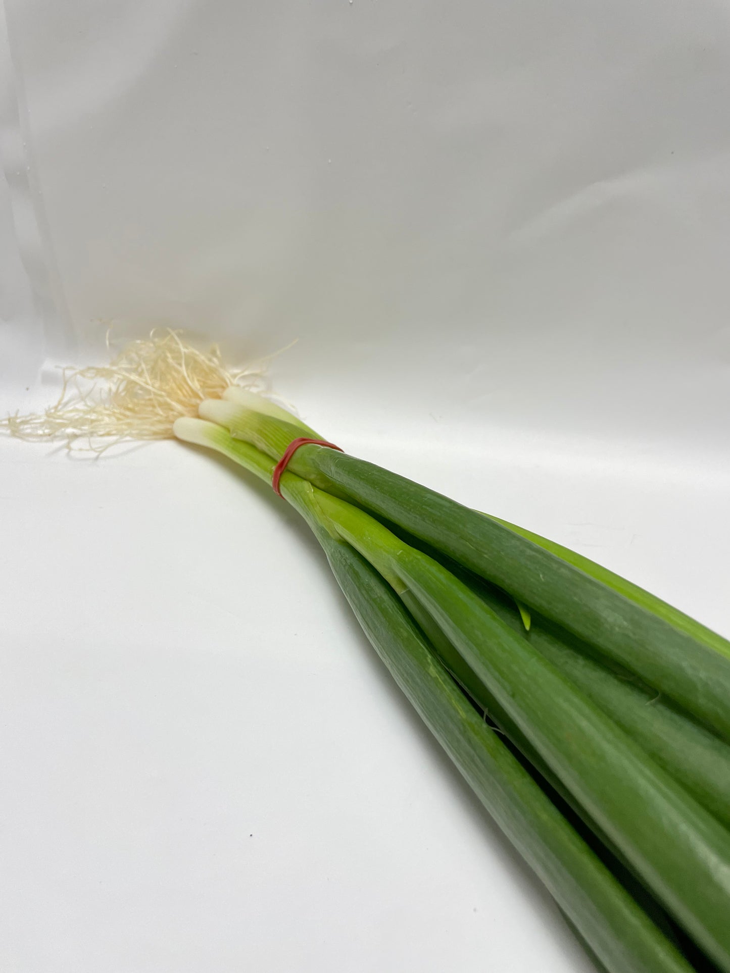 Spring Onions