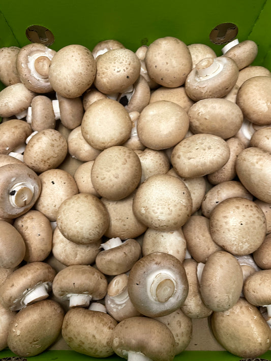 Swiss Mushrooms