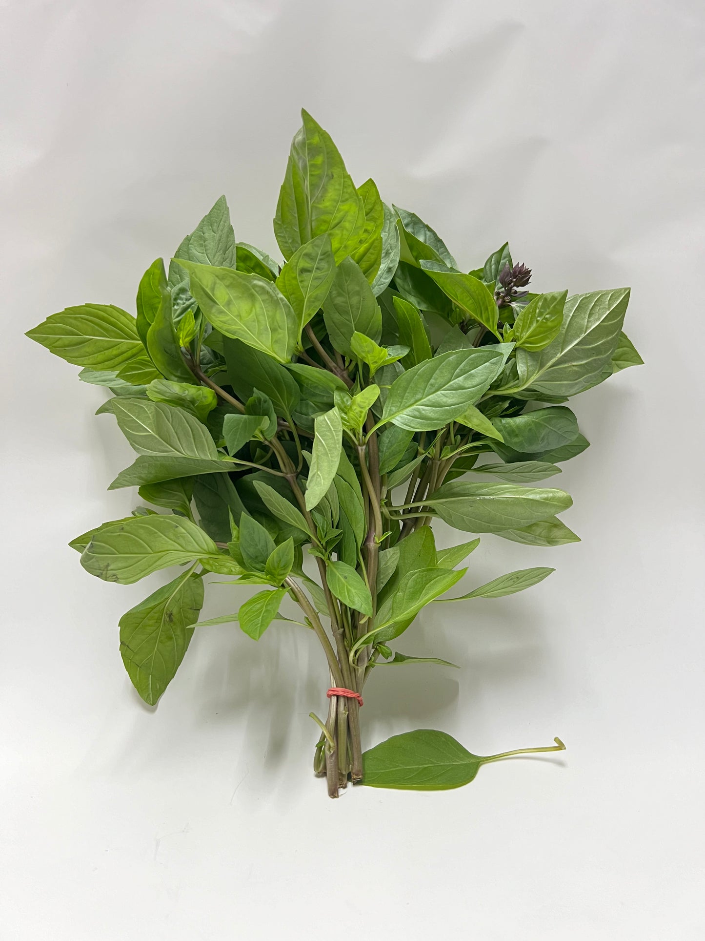 Thai Basil